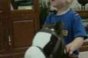 http://www.smilecouple.org/wp-content/uploads/2010/01/ryan-ky3.flv