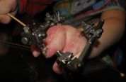 img_1901